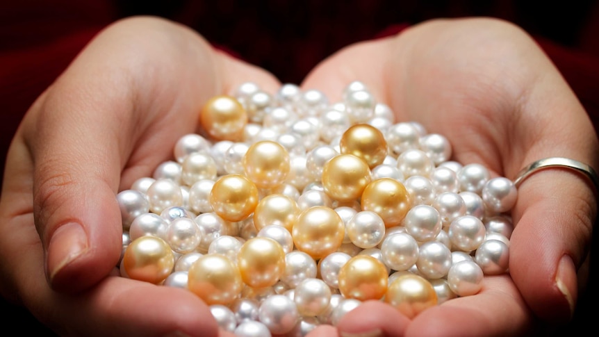 A close up of Kimberley cultured pearls in a hand