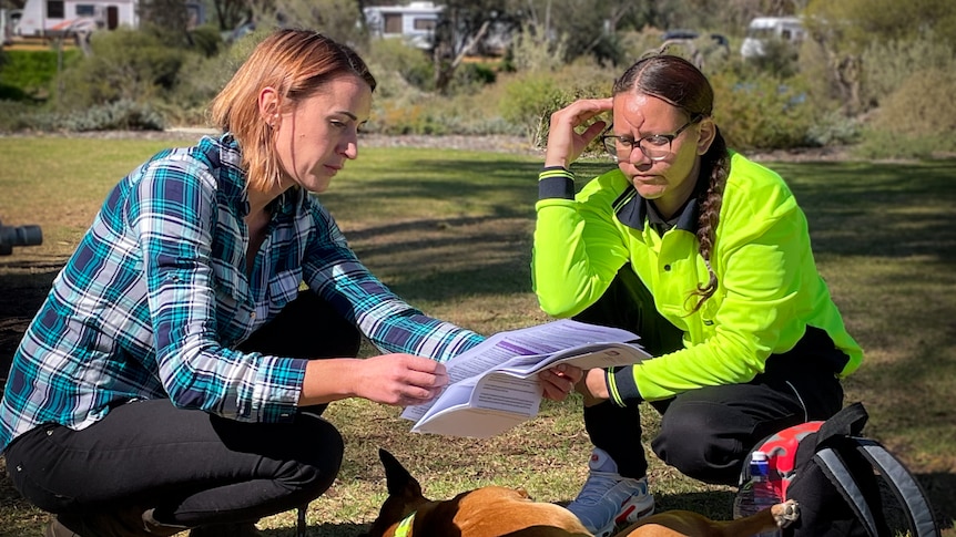 Two women look at papers at a park, while a dog lies on the floor.