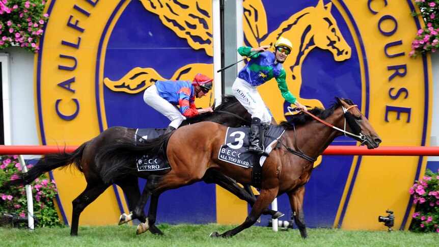 All Too Hard claims Guineas upset