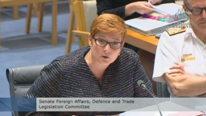 Senator Marise Payne told a Defence Committee Hearing she and Christopher Pyne are of equal rank.