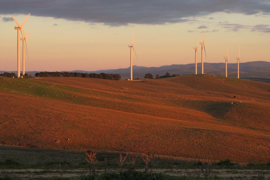 Wind farm turbines near Lake George, outside Canberra