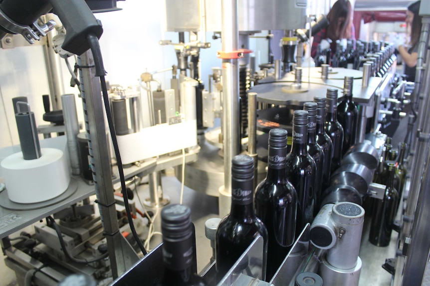 Wine bottles going through a labelling machine.