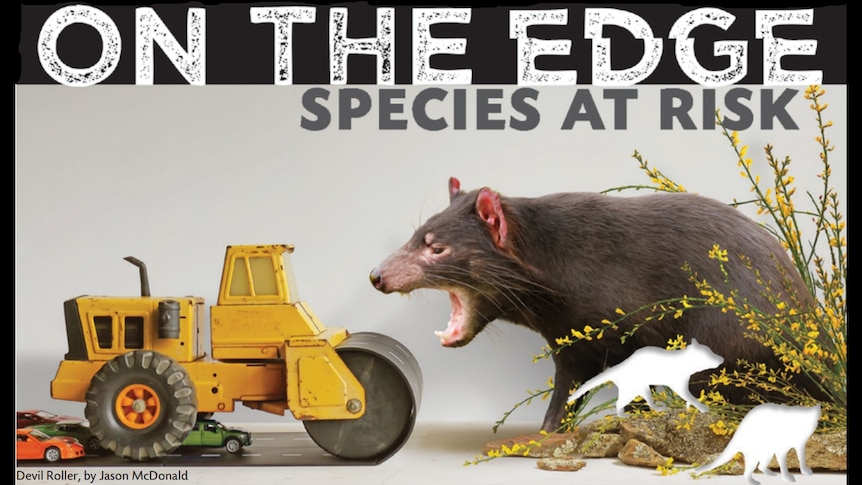 Exhibition graphic shows threatened animals, a bulldozer and cars
