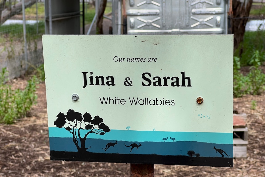 A white sign reading Jina & sarah, white wallabies