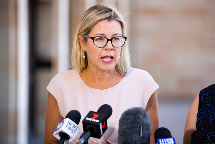 A woman with blonde hair and glasses addresses the media.