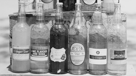 Two rows of old bottles.