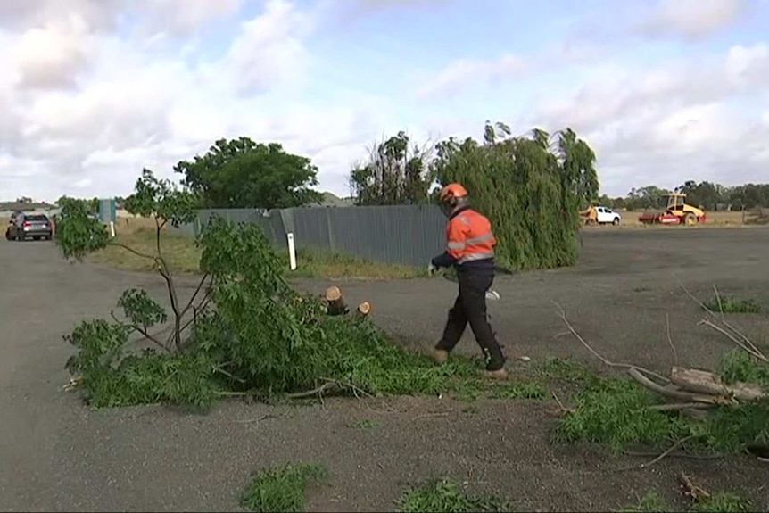 A worker in high-vis surrounded by downed tree branches.