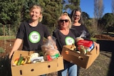 Workers from produce to people in Burnie holding boxes of food