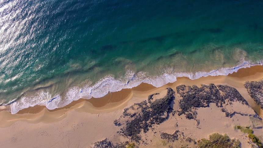 A drone shot of Bunbury's Back Beach.