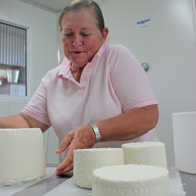 Queensland farmer Carolyn Davidson with her sheep's cheese