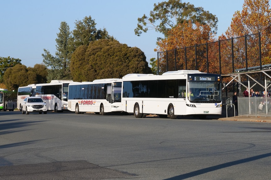 Buses parked at an interchange in a regional city.