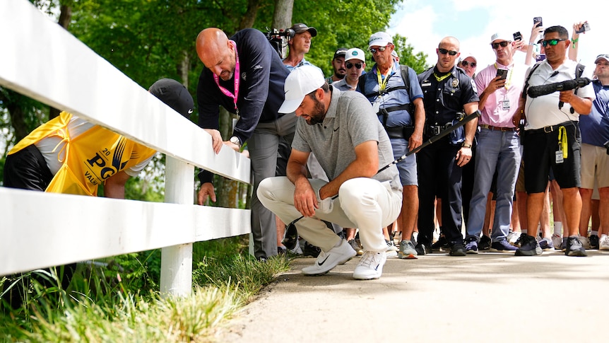 Golfer Scottie Scheffler, crouching near a fence where his ball is, talking to an official, as fans gather to watch