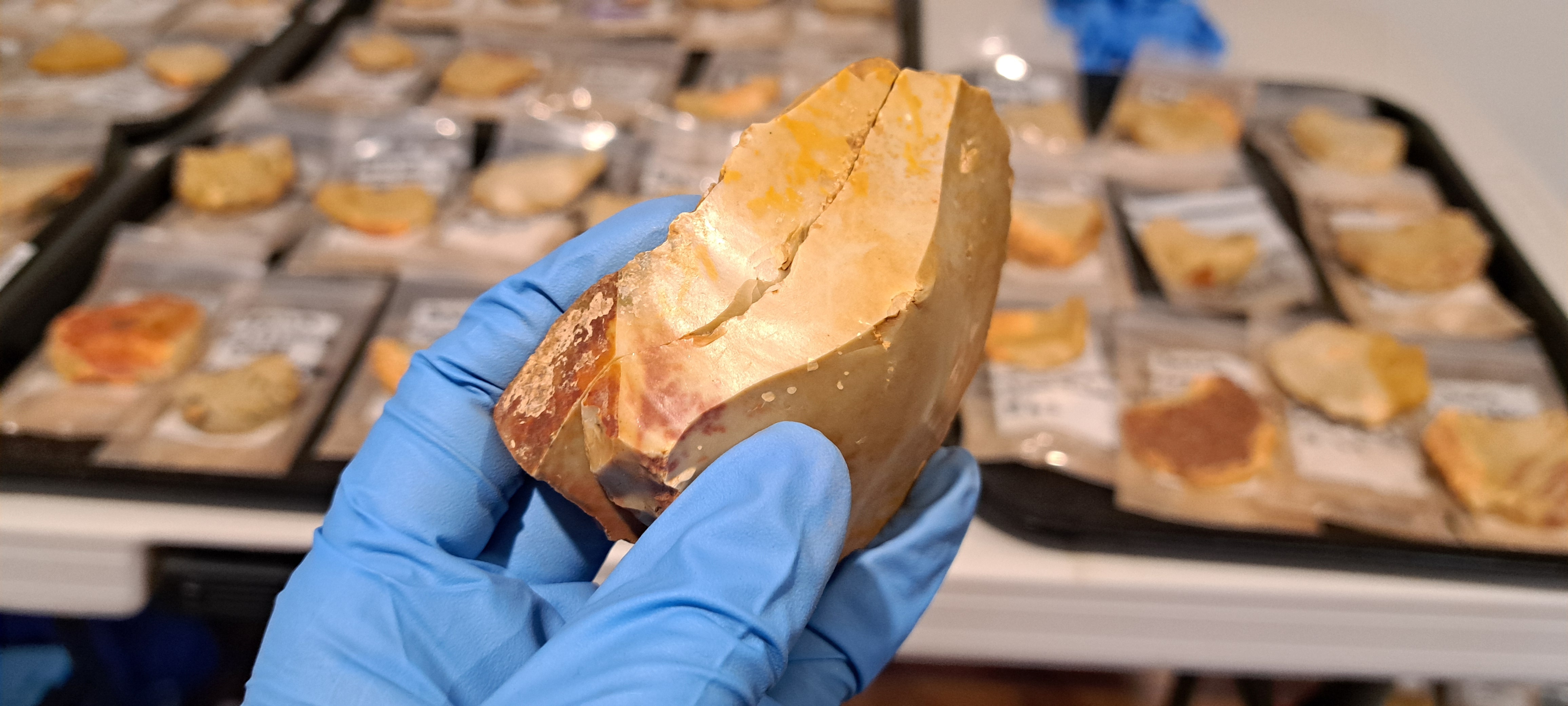 a gloved hand holds up a stone artefact close to the camera.