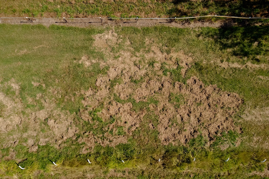 Aerial of damage to the Adelaide River Racecourse caused by feral pigs.