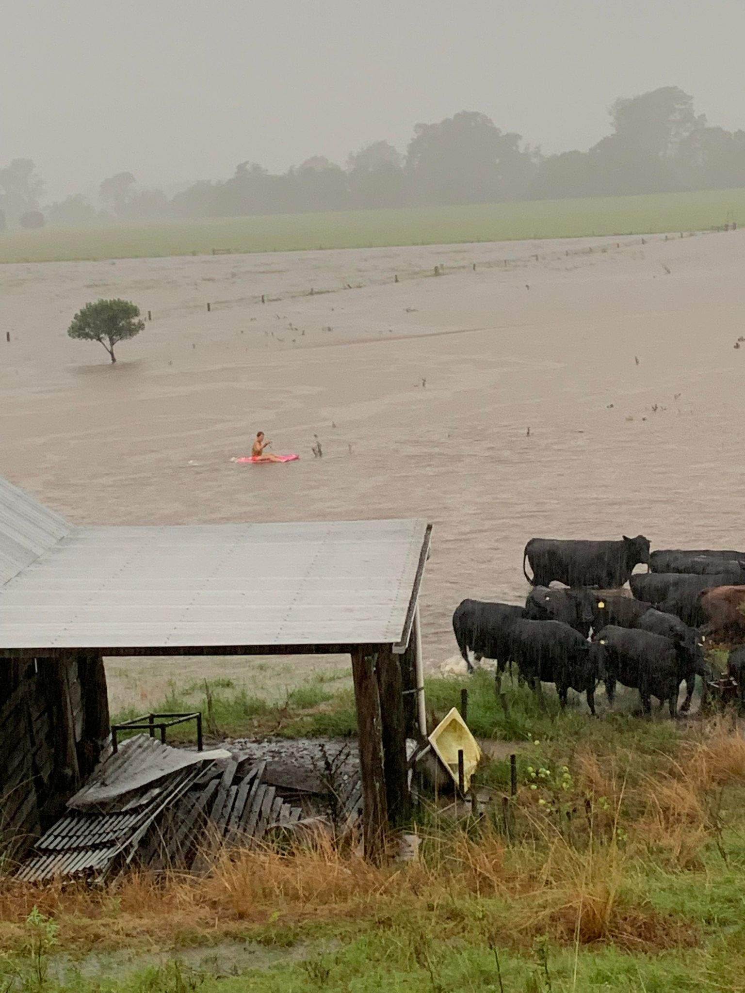 Hundreds Of Dead Animals As Rescue Services Struggle With Rescue Calls   0dbf63f0f8c2305c3b521dfc9ba05e1f