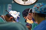 Three surgeons work together in a hospital.