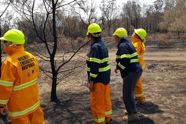volunteers in high-vis fire gear with "wildlife emergency response" on the back on burnt fire ground