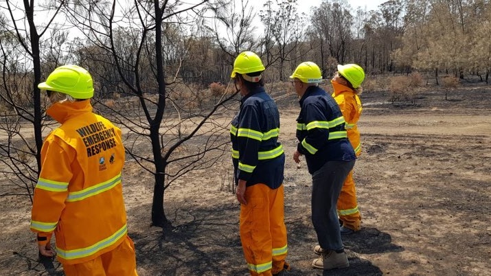 volunteers in high-vis fire gear with "wildlife emergency response" on the back on burnt fire ground