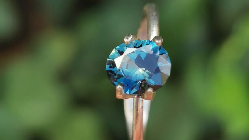 A blue sapphire set in a silver ring, greenery blurred out in background.