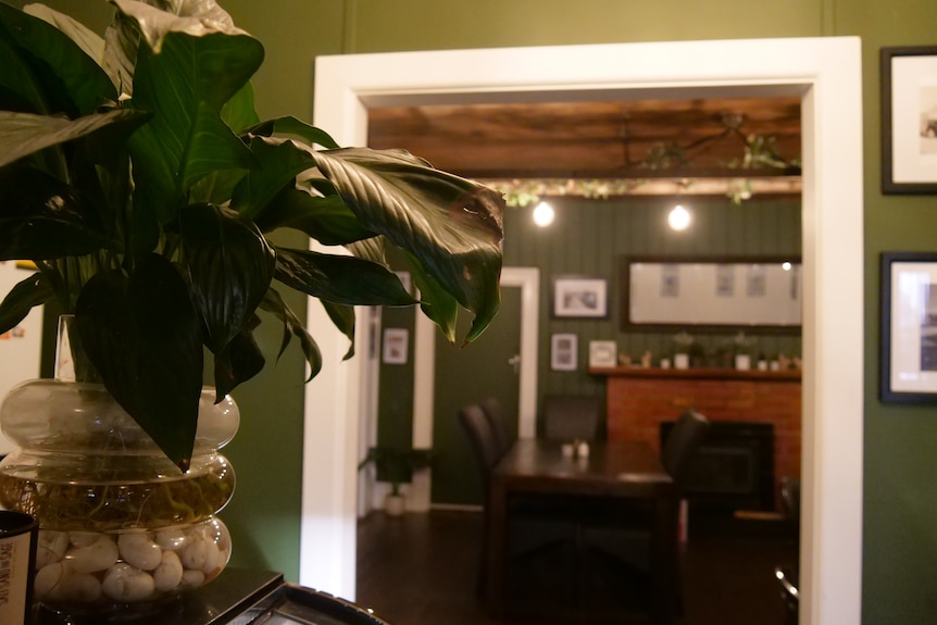 A cafe interior showing pot plant, green walls with photos on them, a fireplace.