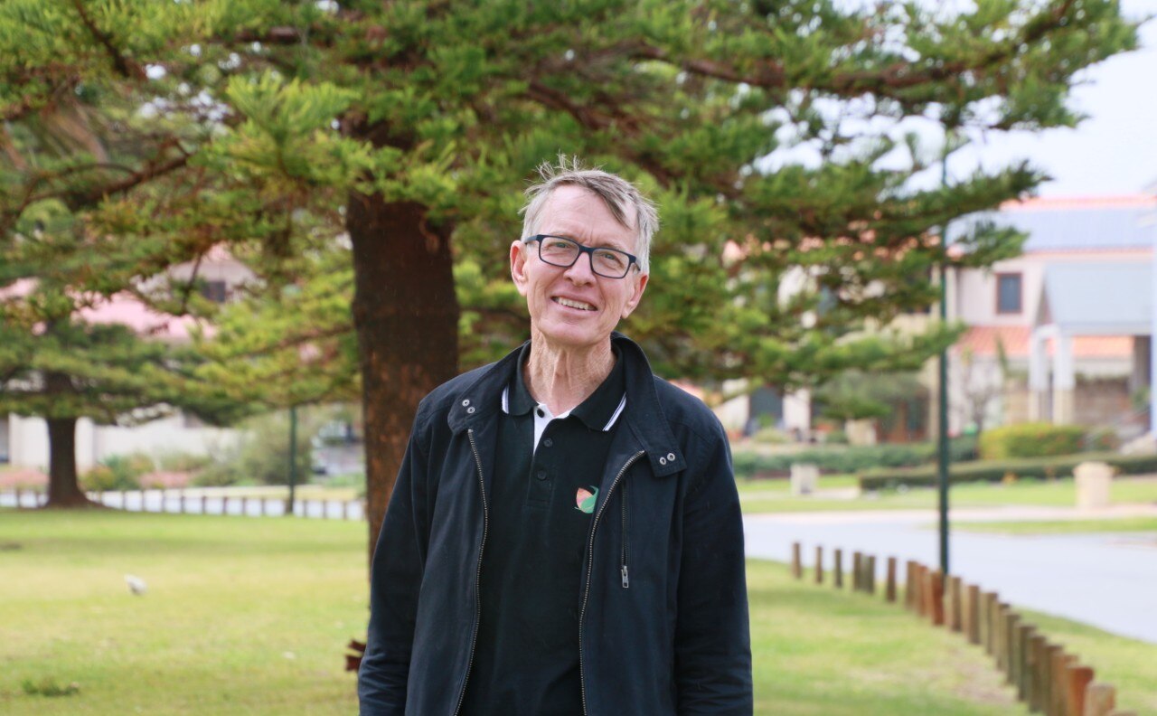 Fungal Disease Threatens Norfolk Island Pine Trees At Perth S Popular Tourist Beaches Abc News