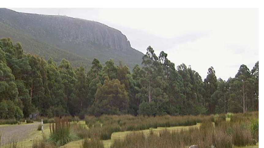 An area at the Springs area with Hobart's Mount Wellington in the background.