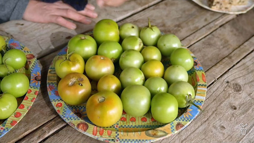A plate filled with green tomatoes.