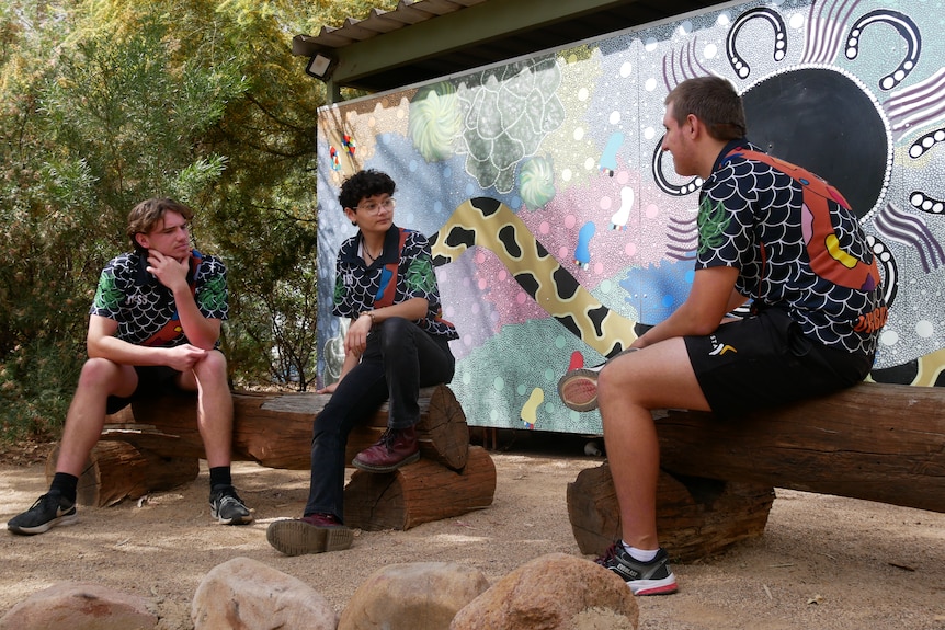 A mid shot of three people sitting on logs in front of a colourful mural featuring Aboriginal art and a snake.