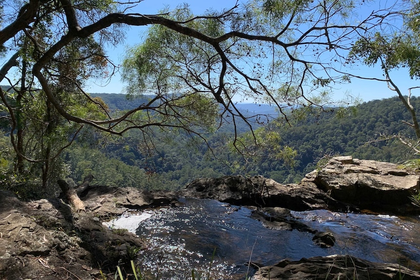 a view from a cliff