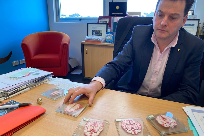 Professor Matthew Kiernan sitting at his desk looking at cross-sections of a brain.