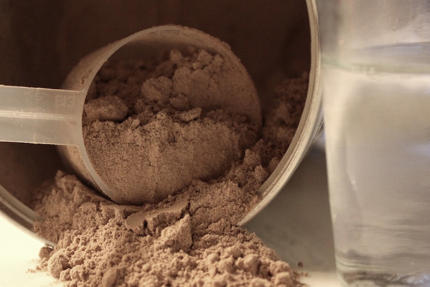 A scoop of whey protein powder.