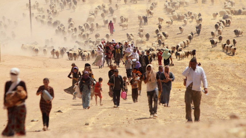 Displaced Yazidis fleeing violence from Islamic State militants in Iraq.