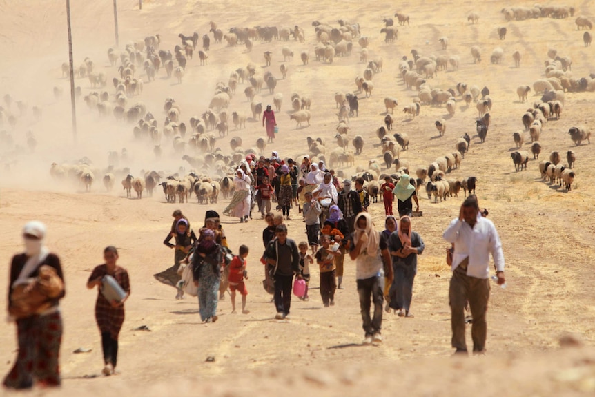 Yazidis flee Iraq crisis