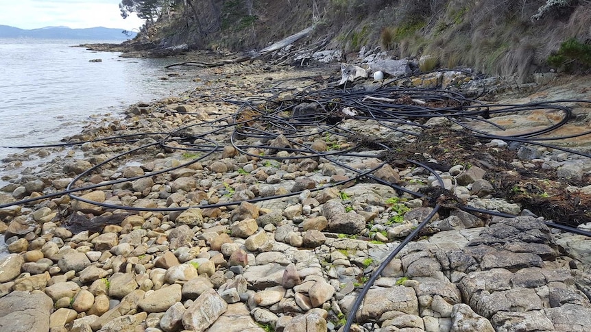 Southern Tasmanian marine farm debris, Conley's Beach, photo by Rod Hartvigsen.