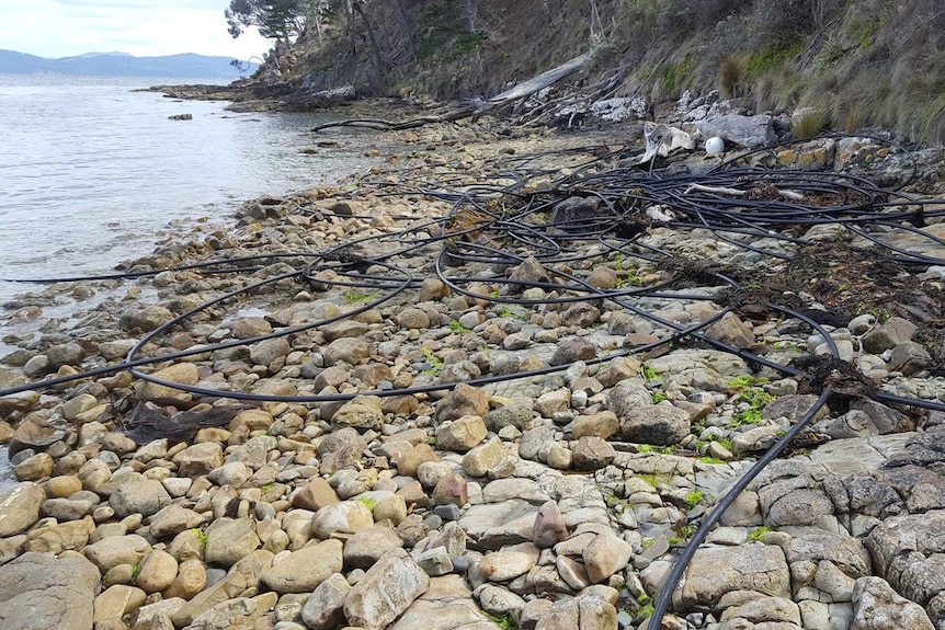 Southern Tasmanian marine farm debris, Conley's Beach, photo by Rod Hartvigsen.