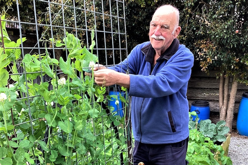 Jonathan Harris in the garden