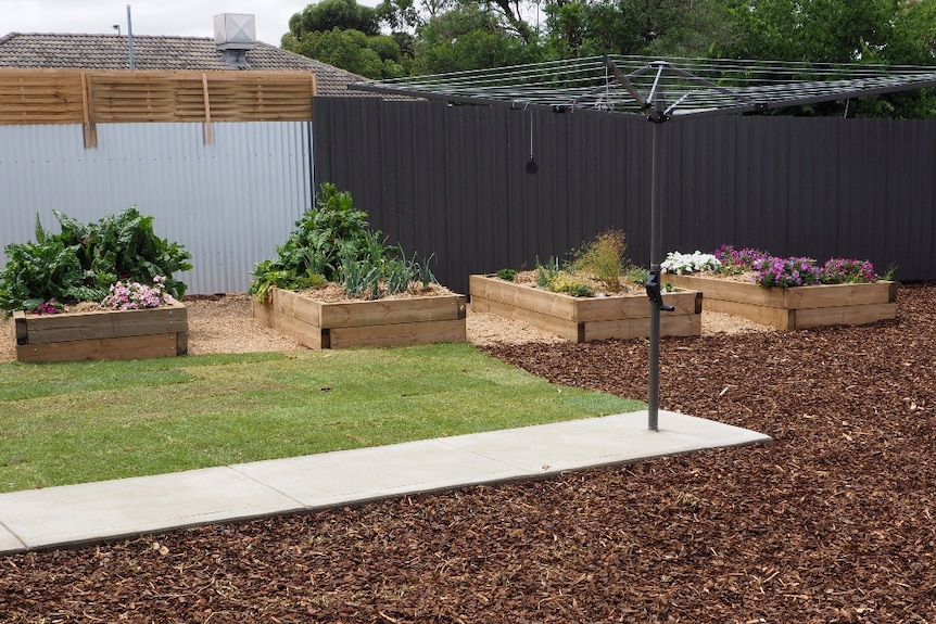 Landscaped gardens in a South Australian backyard