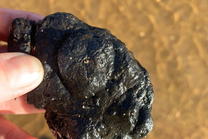 A close up pictures of someone holding a black shinny looking rock with the beach 