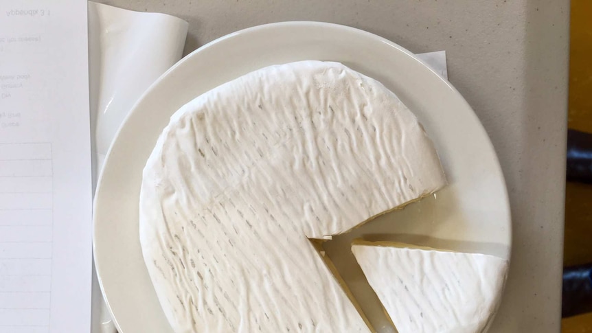 cheese on plate