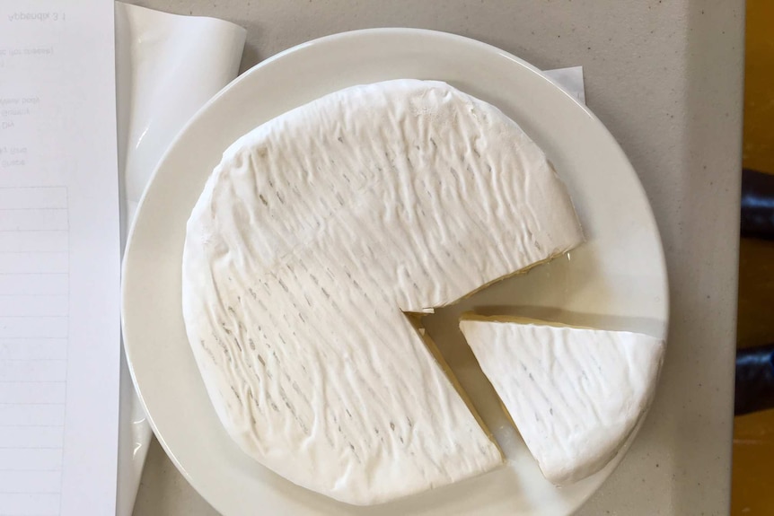 cheese on plate