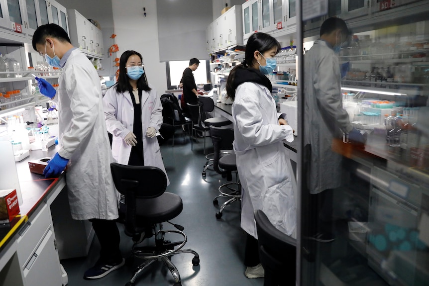 年轻的中国研究人员在实验室里
