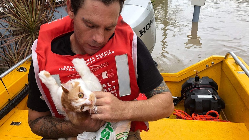 Resident Matt holds his rescued cat, Misty, in an SES boat in flooded Townsville.