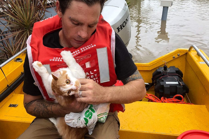 Resident Matt holds his rescued cat, Misty, in an SES boat in flooded Townsville.