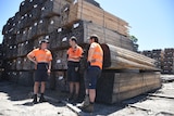 Workers at the Heyfield timber mill standing around large stacks of timber.