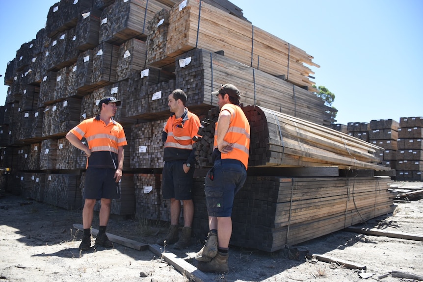 Workers at the Heyfield timber mill standing around large stacks of timber.