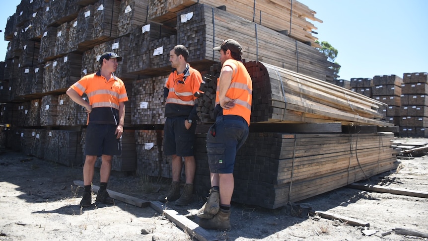 Workers at the Heyfield timber mill standing around large stacks of timber.