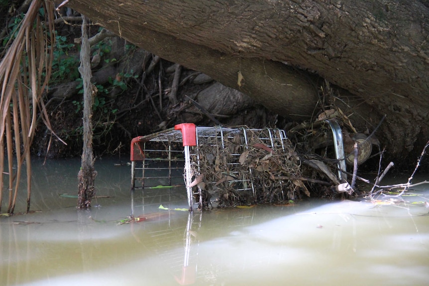 A shopping trolley half-sticking out of the water