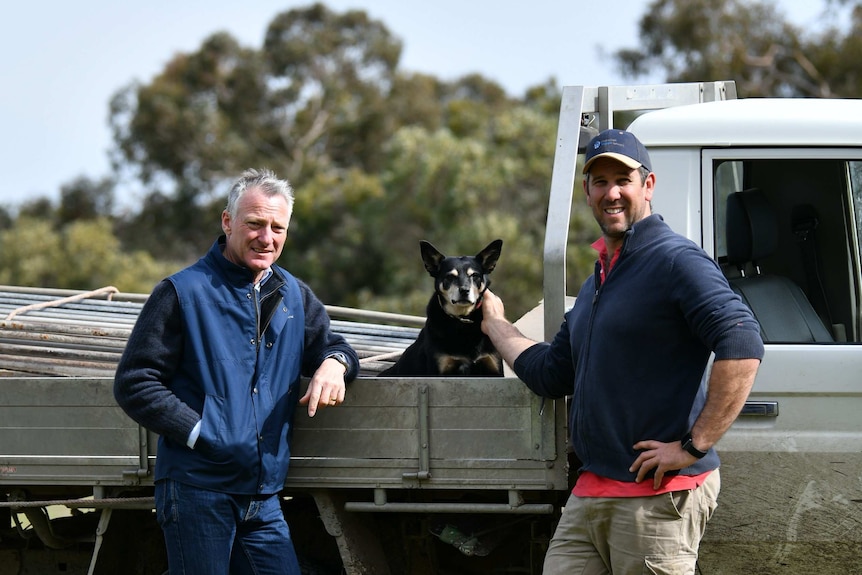 Two men lean on the side of a ute with a dog seated in the tray.