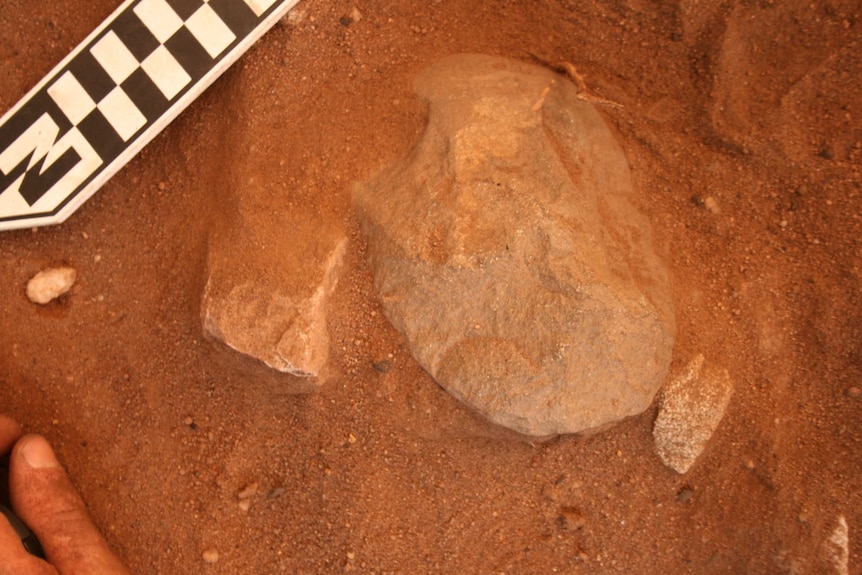 A rock, half covered in soil.
