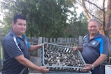 Oyster farmers hold up a tray of oysters